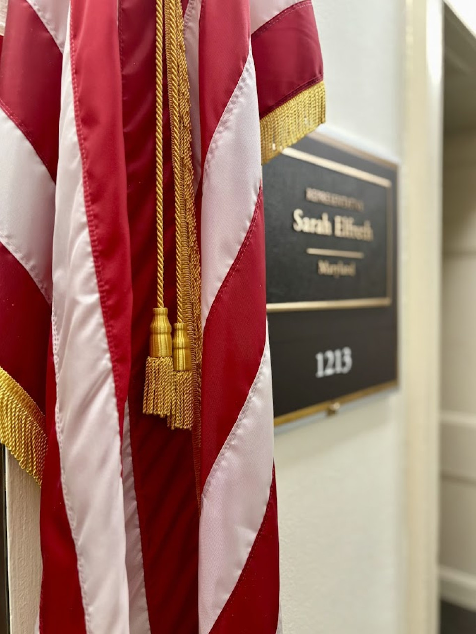 American Flag located outside of Congresswoman Elfreth's DC Office.