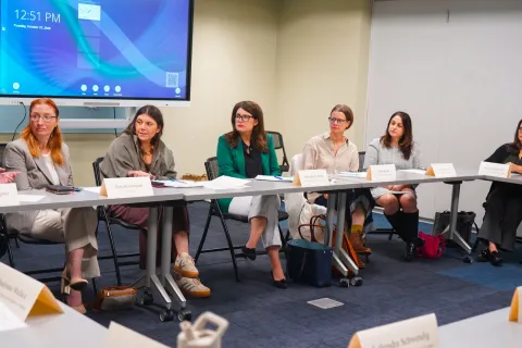 Picture of Elfreth beside advocates at DV roundtable